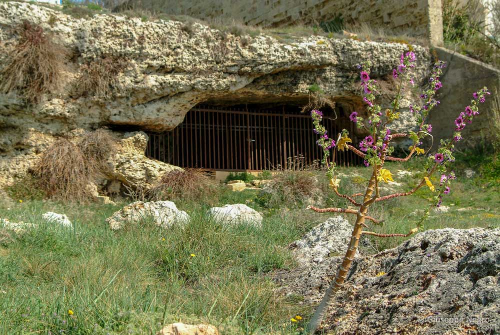 Grotta porcinara Santa Maria di Leuca
